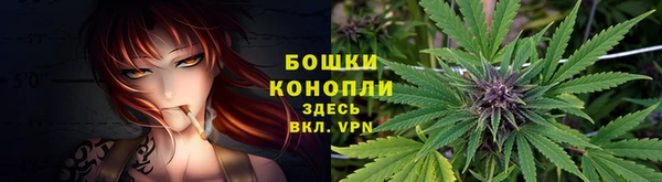 Альфа ПВП Горняк