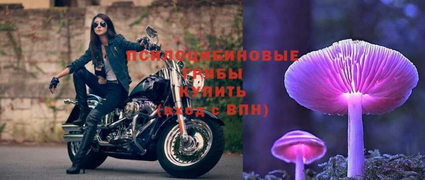 ALPHA PVP Верея