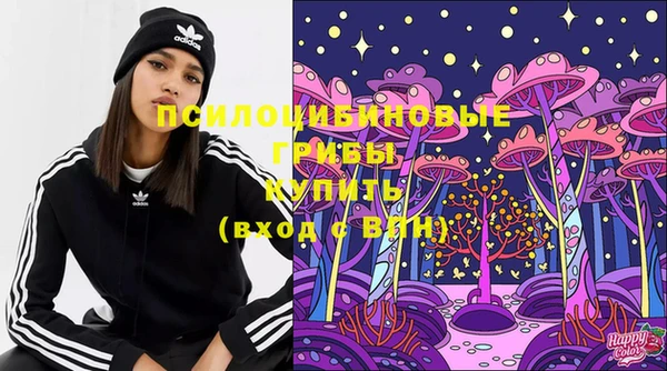 Альфа ПВП Горняк